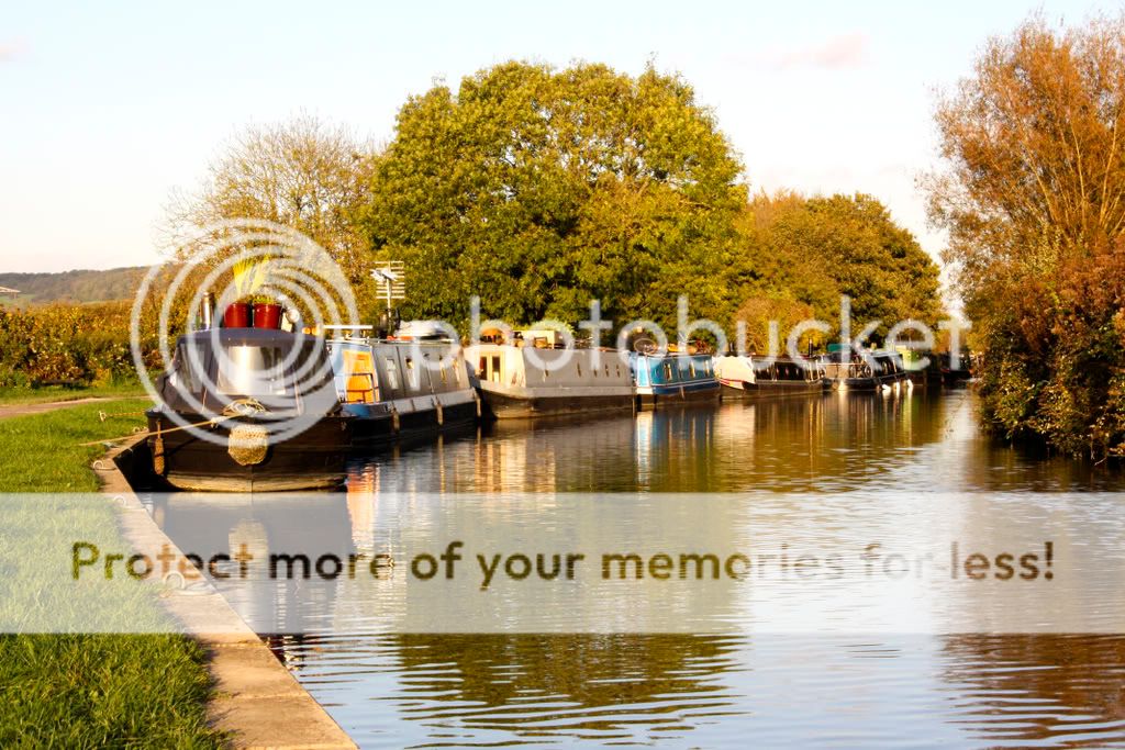 IMAGE: http://i508.photobucket.com/albums/s321/flyingfridge59/IMG_1753PP.jpg